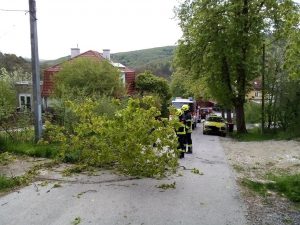 Sturmschäden in Purkersdorf