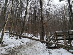 Sturmschaden im Naturpark