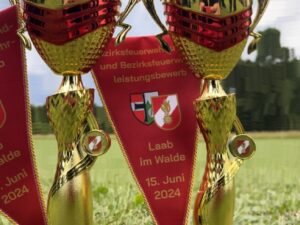 Wettkampfgruppe Purkersdorf triumphiert doppelt