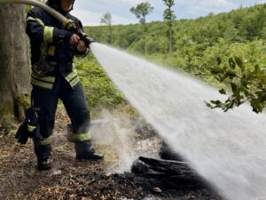 🚒 Vegetationsbrand 🌲🔥